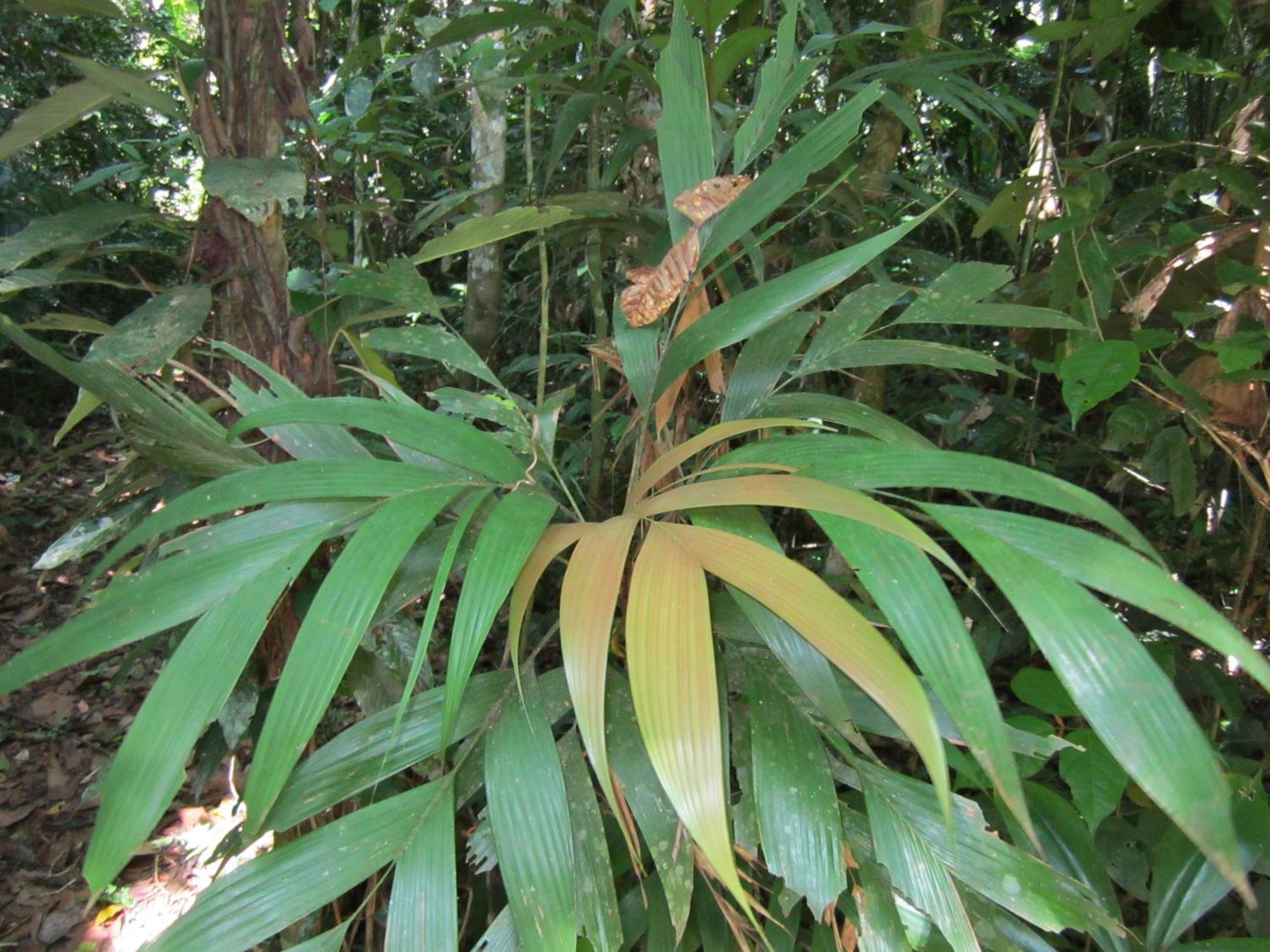 Tambopata River Puerto Maldonado Exterior foto