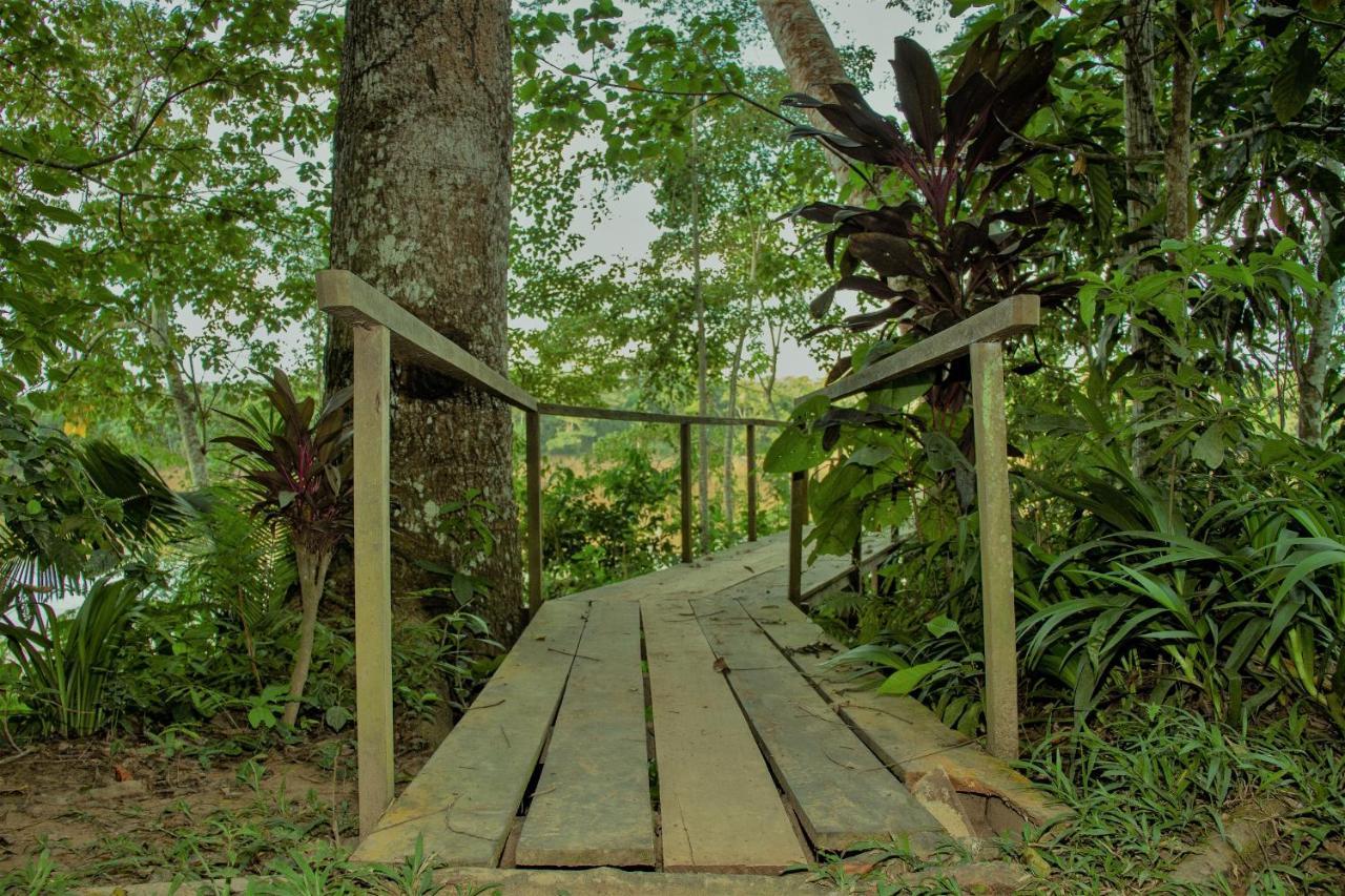 Tambopata River Puerto Maldonado Exterior foto